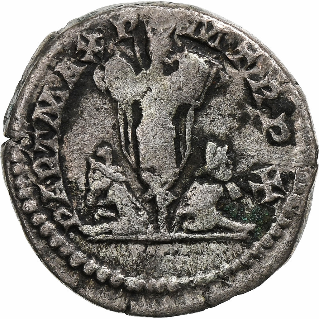 Settimio Severo,
Denario,
202